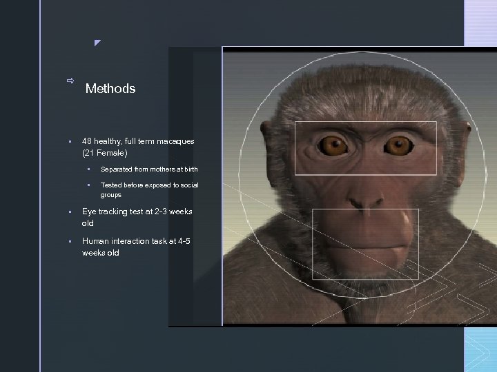 z _ § Methods 48 healthy, full term macaques (21 Female) § Separated from