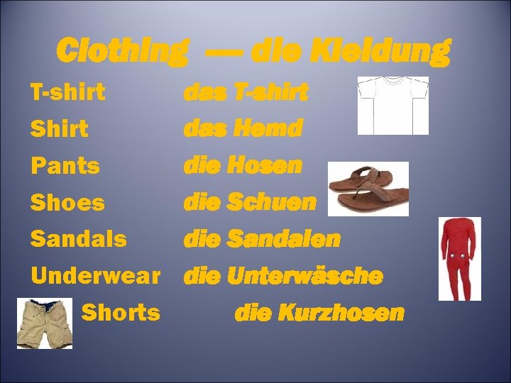 Clothing ---- die Kleidung T-shirt Shirt Pants Shoes Sandals Underwear Shorts das T-shirt das