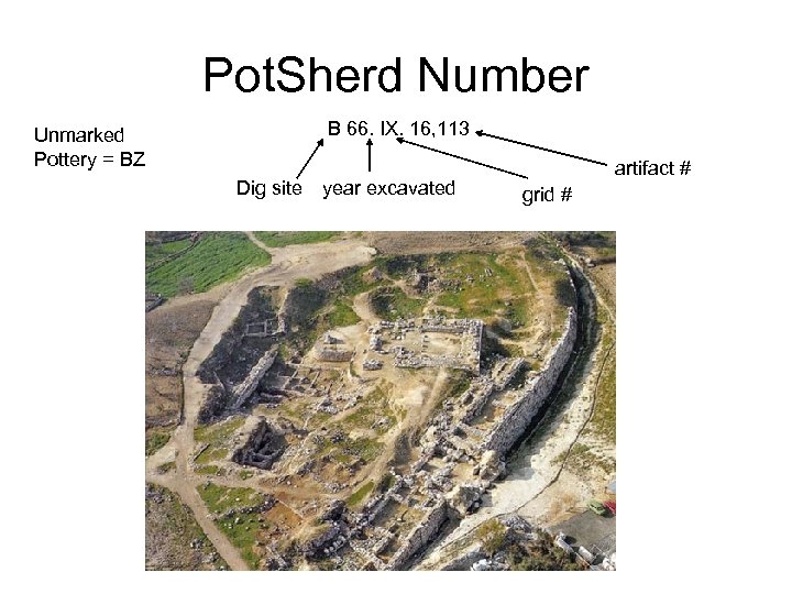 Pot. Sherd Number B 66. IX. 16, 113 Unmarked Pottery = BZ Dig site