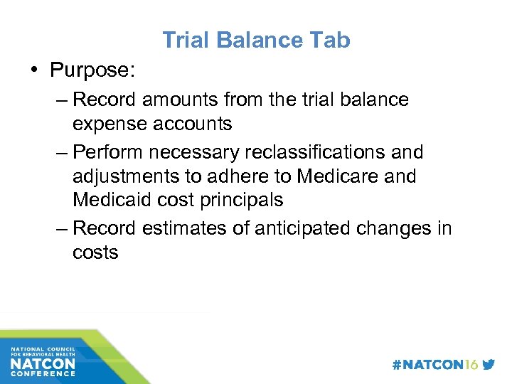 Trial Balance Tab • Purpose: – Record amounts from the trial balance expense accounts