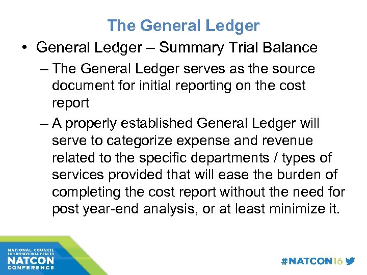 The General Ledger • General Ledger – Summary Trial Balance – The General Ledger