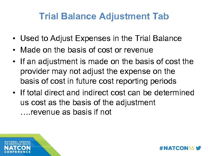 Trial Balance Adjustment Tab • Used to Adjust Expenses in the Trial Balance •