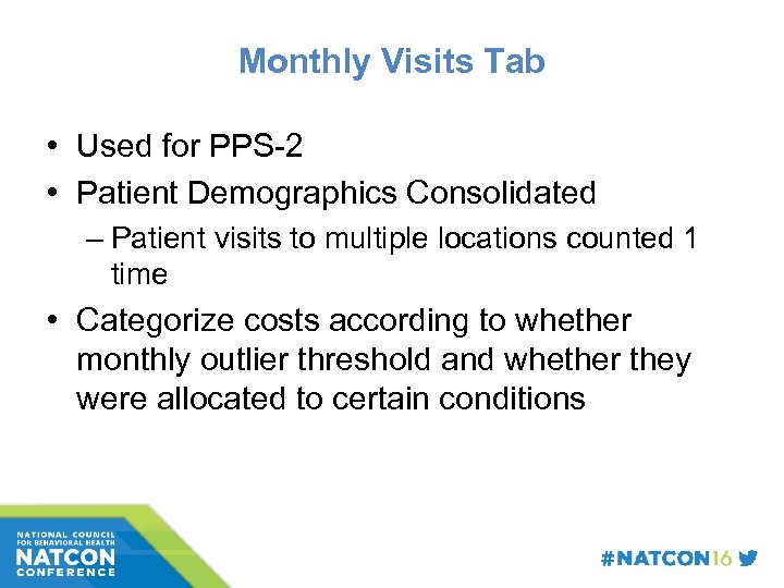 Monthly Visits Tab • Used for PPS-2 • Patient Demographics Consolidated – Patient visits