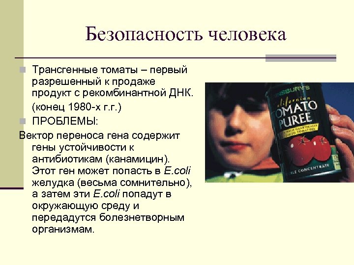 Безопасность человека n Трансгенные томаты – первый разрешенный к продаже продукт с рекомбинантной ДНК.