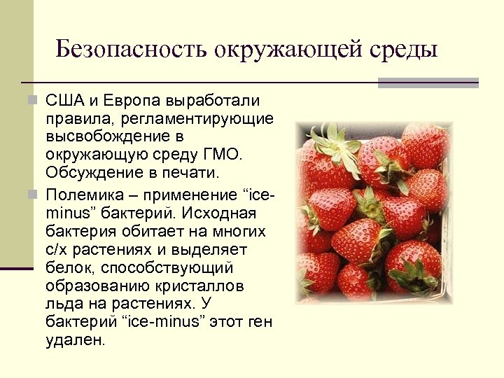 Безопасность окружающей среды n США и Европа выработали правила, регламентирующие высвобождение в окружающую среду