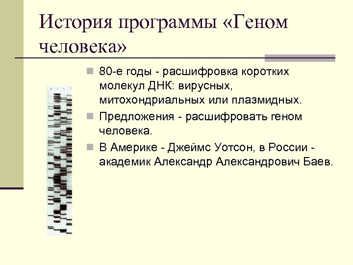 История программы «Геном человека» n 80 -е годы - расшифровка коротких молекул ДНК: вирусных,