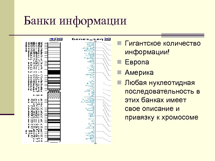 Банки информации n Гигантское количество информации! n Европа n Америка n Любая нуклеотидная последовательность