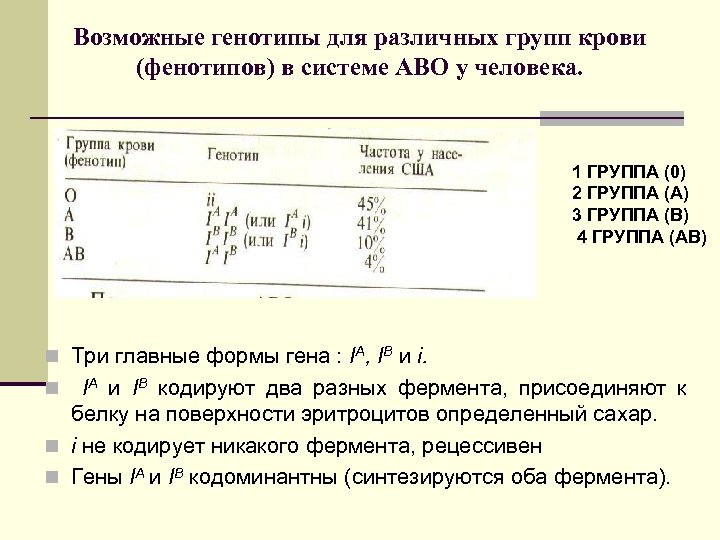 Возможные генотипы для различных групп крови (фенотипов) в системе АВО у человека. 1 ГРУППА