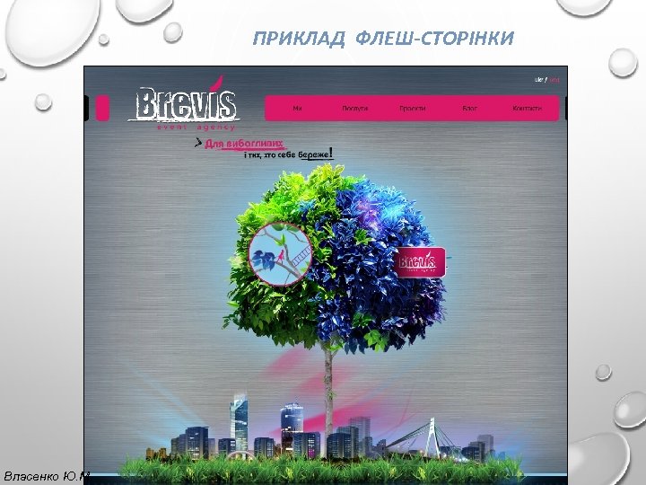 ПРИКЛАД ФЛЕШ-СТОРІНКИ Власенко Ю. М. 