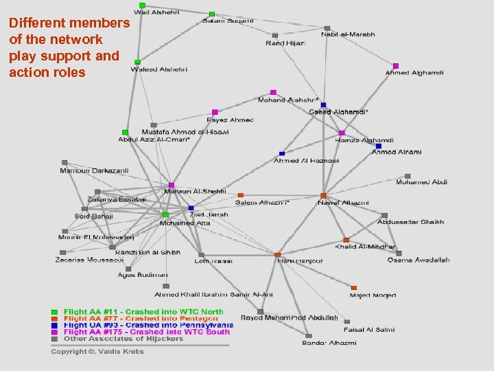 Different members of the network play support and action roles 