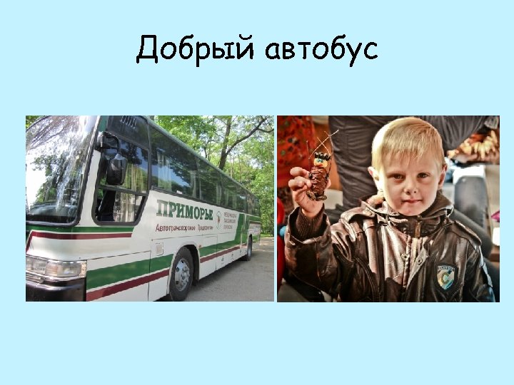 Добрый автобус 