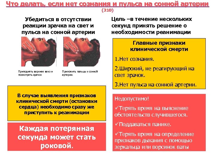 Что делать, если нет сознания и пульса на сонной артерии (310) Убедиться в отсутствии
