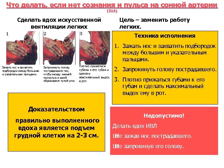 Что делать, если нет сознания и пульса на сонной артерии (316) Сделать вдох искусственной