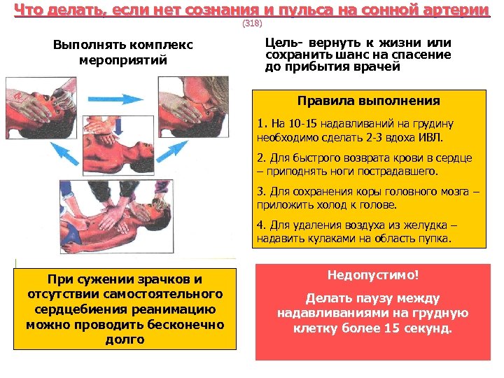 Что делать, если нет сознания и пульса на сонной артерии (318) Выполнять комплекс мероприятий