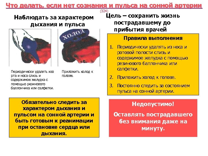 Что делать, если нет сознания и пульса на сонной артерии (324) Наблюдать за характером