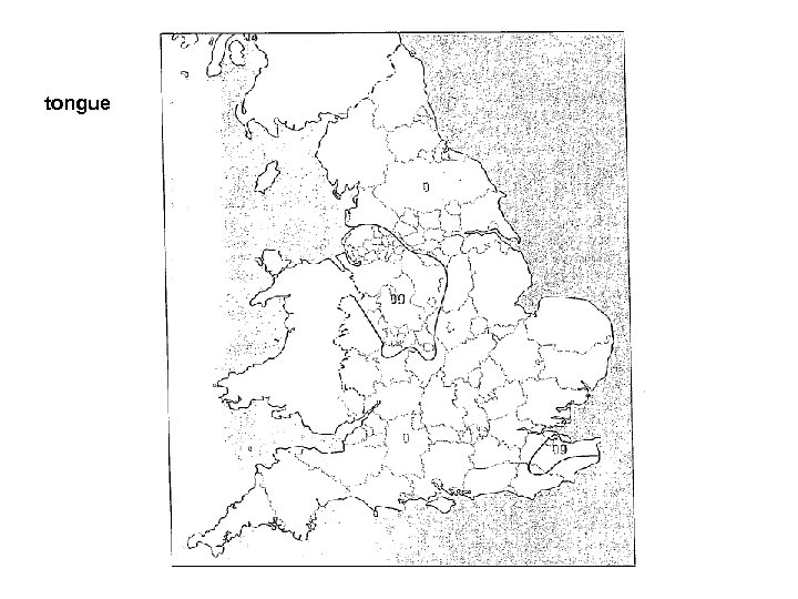 tongue 