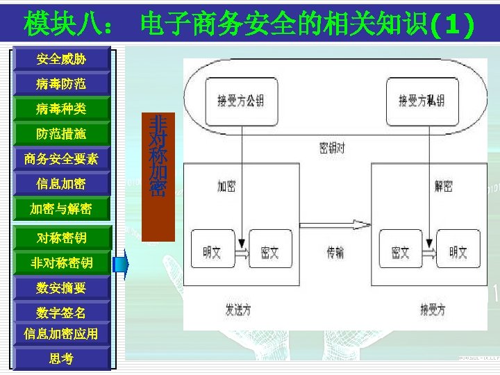 模块八： 电子商务安全的相关知识(1) 安全威胁 病毒防范 病毒种类 防范措施 商务安全要素 信息加密 加密与解密 对称密钥 非对称密钥 数安摘要 数字签名 信息加密应用