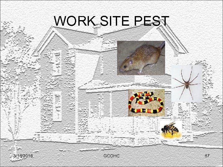 WORK SITE PEST 3/16/2018 GCOHC 67 