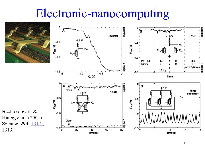 Electronic-nanocomputing Bachtold et al. & Huang et al. (2001) Science 294: 1317 , 1313.