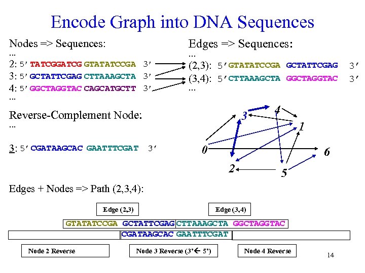 Encode Graph into DNA Sequences Edges => Sequences: Nodes => Sequences: … … 2: