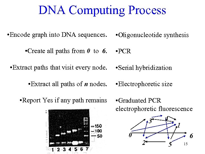 DNA Computing Process • Encode graph into DNA sequences. • Create all paths from