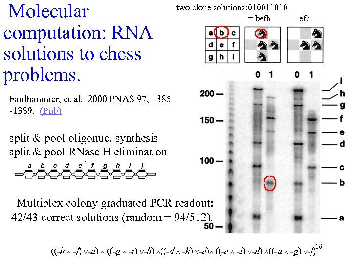 Molecular computation: RNA solutions to chess problems. two clone solutions: 010011010 = befh efc