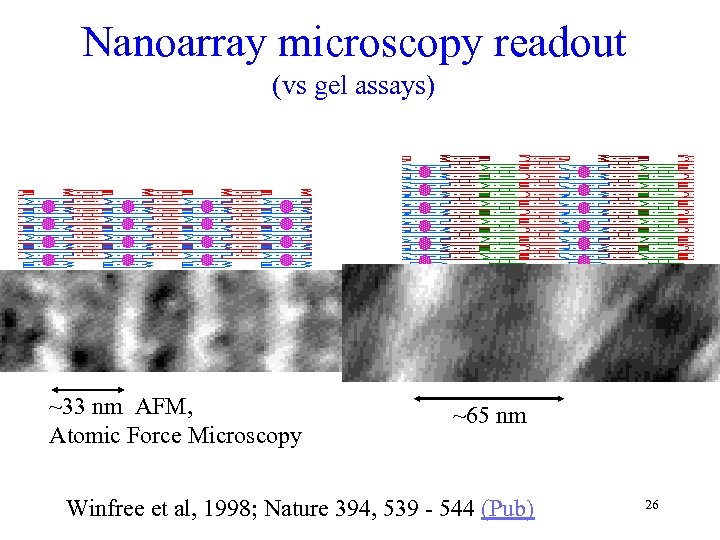 Nanoarray microscopy readout (vs gel assays) ~33 nm AFM, Atomic Force Microscopy ~65 nm