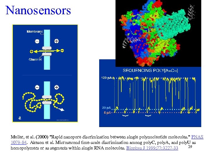 Nanosensors Meller, et al. (2000) 