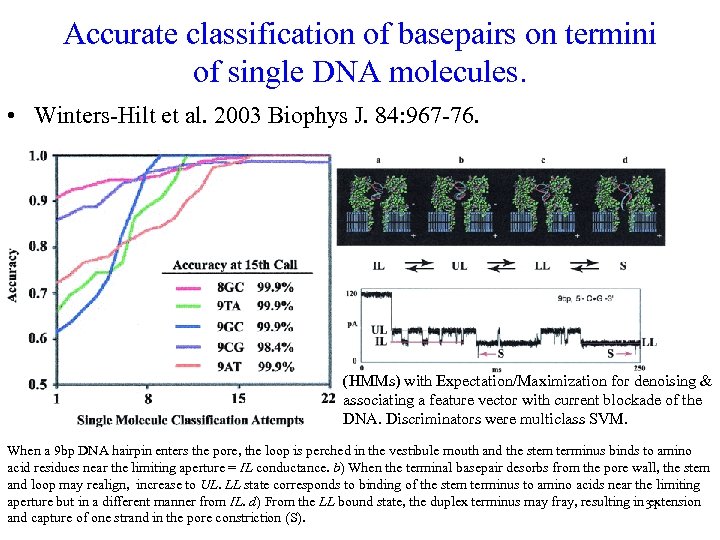 Accurate classification of basepairs on termini of single DNA molecules. • Winters-Hilt et al.