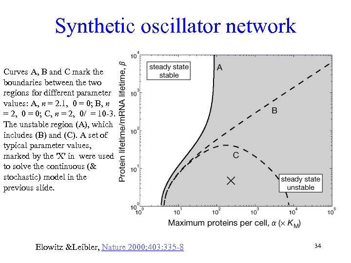 Synthetic oscillator network Curves A, B and C mark the boundaries between the two