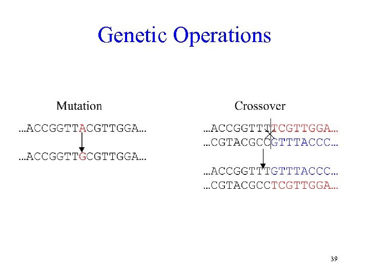 Genetic Operations 39 