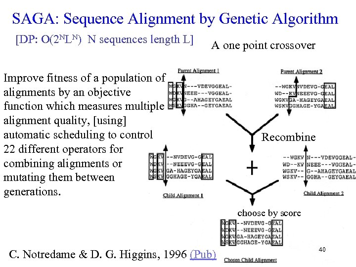 SAGA: Sequence Alignment by Genetic Algorithm [DP: O(2 NLN) N sequences length L] A