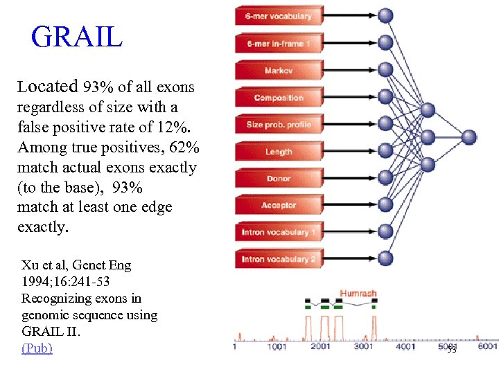 GRAIL Located 93% of all exons regardless of size with a false positive rate