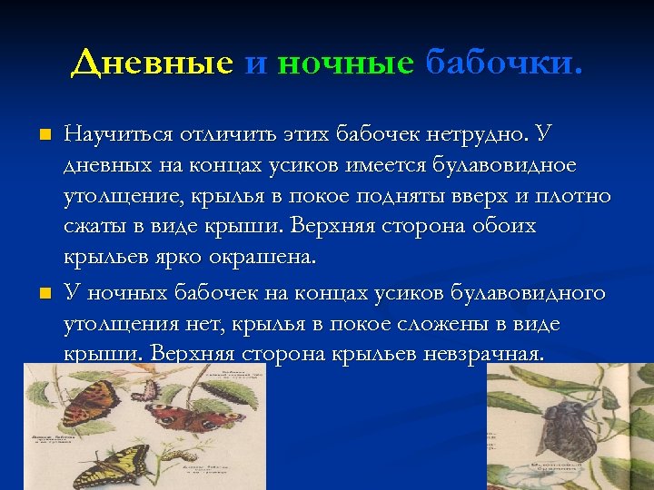 Дневные и ночные бабочки. n n Научиться отличить этих бабочек нетрудно. У дневных на
