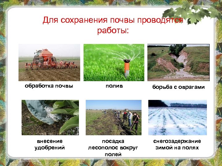 Для сохранения почвы проводятся работы: обработка почвы полив борьба с оврагами внесение удобрений посадка