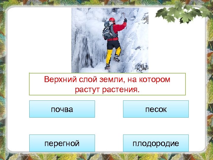 Верхний слой земли, на котором растут растения. почва песок перегной плодородие 