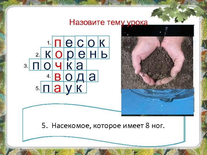 Назовите тему урока песок корень почка вода паук 1. 2. 3. 4. 5. 1.