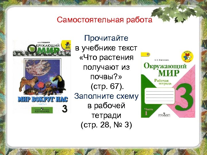 Самостоятельная работа Прочитайте в учебнике текст «Что растения получают из почвы? » (стр. 67).