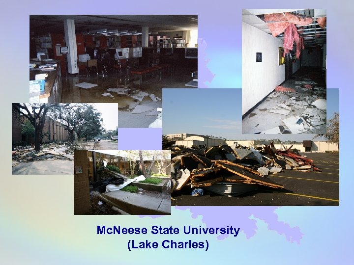 Mc. Neese State University (Lake Charles) 