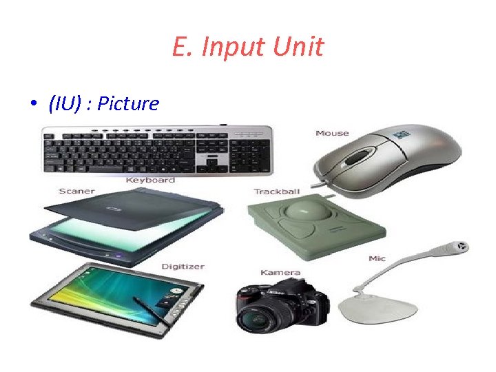 E. Input Unit • (IU) : Picture 