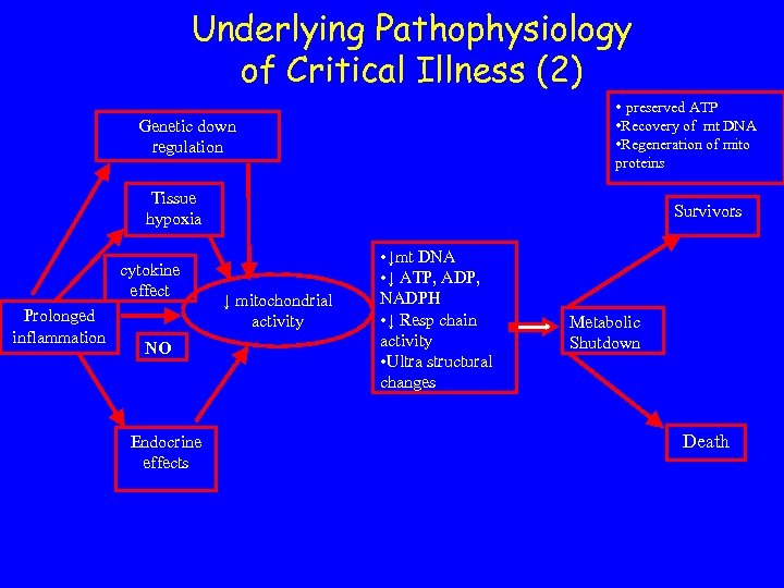 Underlying Pathophysiology of Critical Illness (2) • preserved ATP Genetic down regulation • Recovery