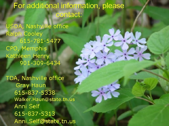 For additional information, please contact: USDA, Nashville office Ralph Cooley 615 -781 -5477 CPO,
