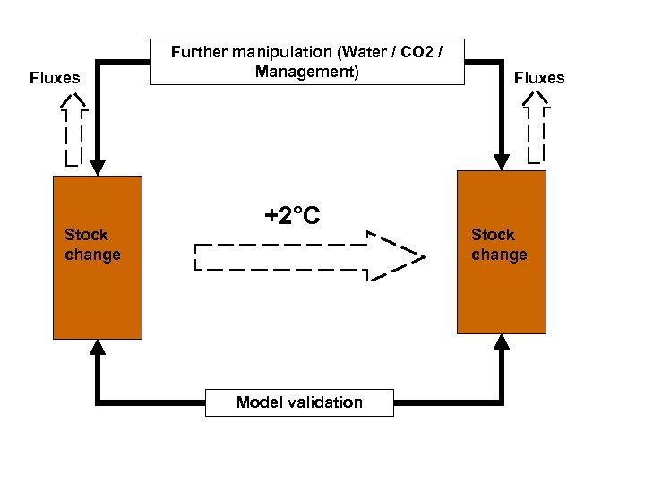 Fluxes Stock change Further manipulation (Water / CO 2 / Management) +2°C Model validation