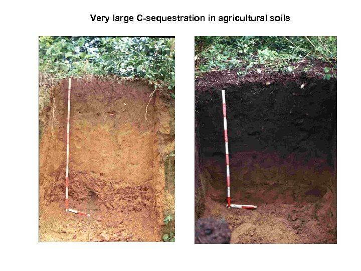 Very large C-sequestration in agricultural soils 