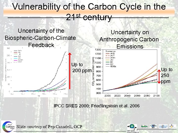 Vulnerability of the Carbon Cycle in the 21 st century Uncertainty of the Biospheric-Carbon-Climate
