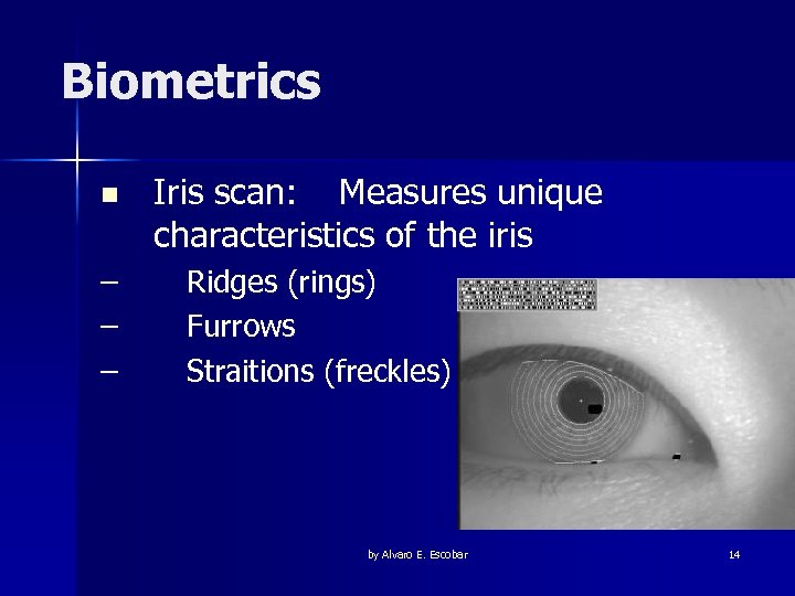 Biometrics n – – – Iris scan: Measures unique characteristics of the iris Ridges