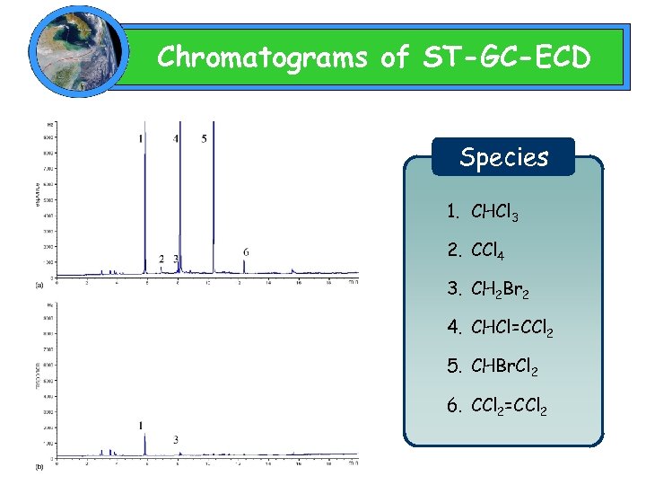 Chromatograms of ST-GC-ECD Species 1. CHCl 3 2. CCl 4 3. CH 2 Br