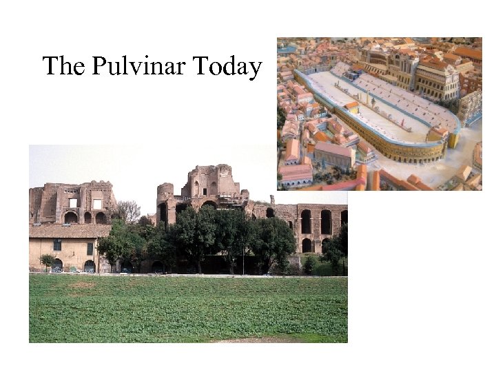 The Pulvinar Today 