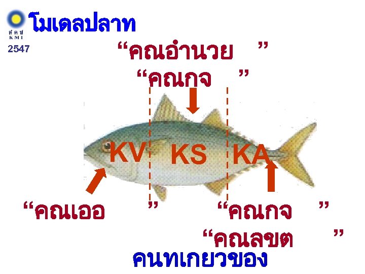 โมเดลปลาท 2547 “คณอำนวย ” “คณกจ ” KV KS KA “คณเออ ” “คณกจ ” “คณลขต