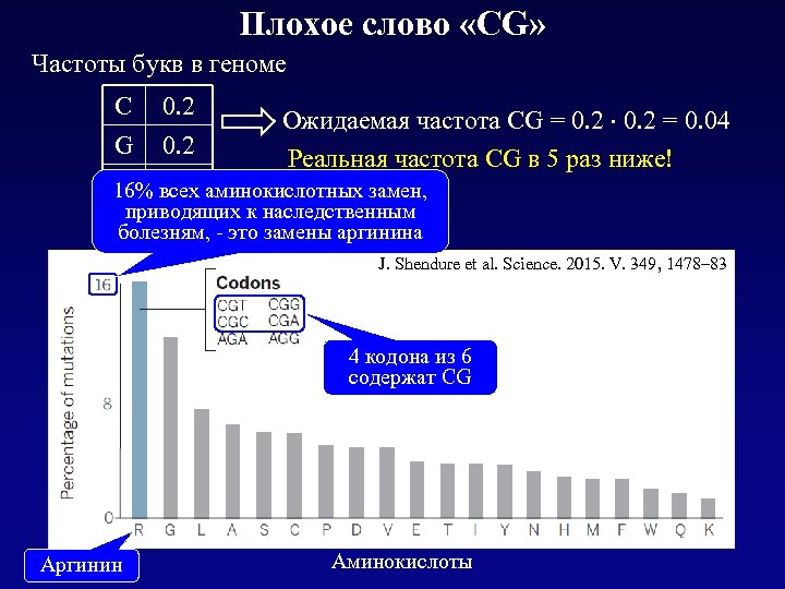 Плохое слово «CG» Частоты букв в геноме C 0. 2 Ожидаемая частота СG =